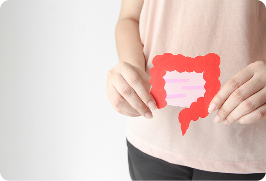 What is Gut Health and What Do Probiotics Do for You?